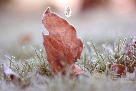 霜降有哪些運動適合養生呢?霜降運動養生的作用是什么?-易網健康養生網 霜降有哪些運動適合養生呢?霜降運動養生的作用是什么?