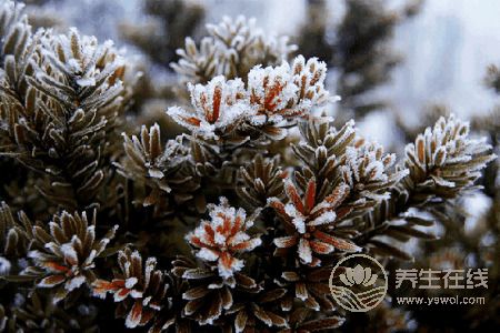 霜降有哪些運動適合養生呢?霜降運動養生的作用是什么?-易網健康養生網 霜降有哪些運動適合養生呢?霜降運動養生的作用是什么?