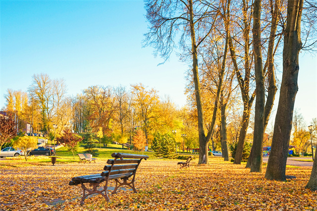 秋季鍛煉的最佳時(shí)間，秋季適合什么鍛煉項(xiàng)目？
