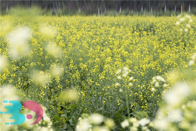 適合春季喝的湯?春季養(yǎng)生小知識-易網(wǎng)健康養(yǎng)生網(wǎng) 適合春季喝的湯?春季養(yǎng)生小知識