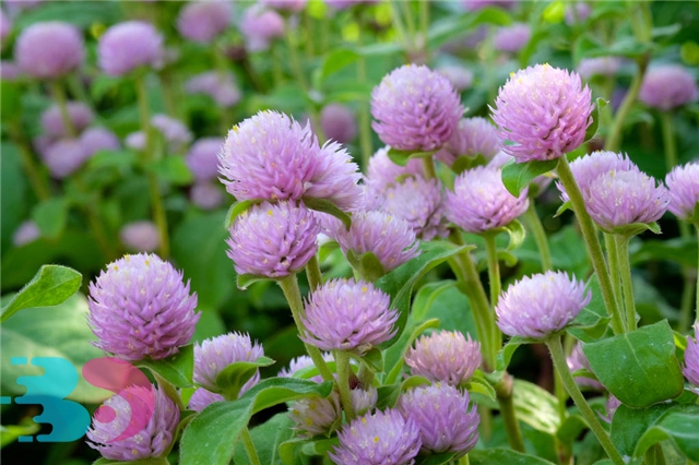 春季養生的禁忌有哪些？春季養生有哪些好方法？