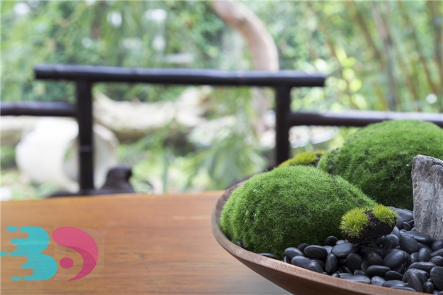 春季養生的禁忌有哪些？春季養生有哪些好方法？