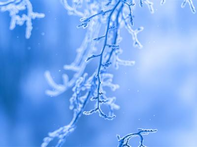 12月應(yīng)季的水果蔬菜有哪些？12月養(yǎng)生你要知道這些