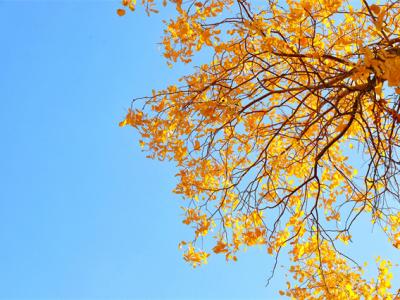 如何預防秋老虎？秋老虎時期吃什么好？