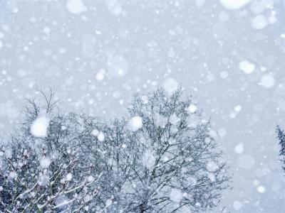 三九天吃什么可以養(yǎng)生？三九天養(yǎng)生好處竟然這么大