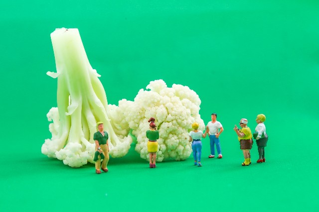 有機花菜和無機花菜有哪些區別？主要看這幾點！