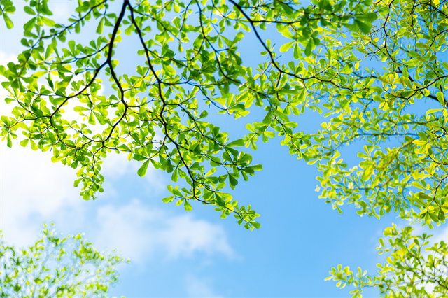 春季降溫怎么預(yù)防生病？春季突然降溫要注意保暖