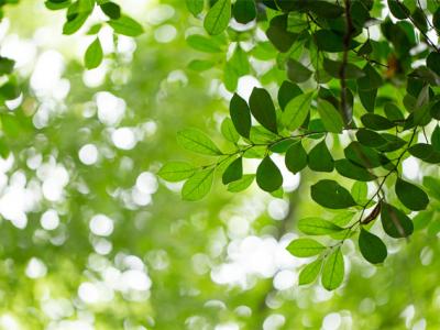 春天總是犯困怎么辦？這些方法幫你解決困擾