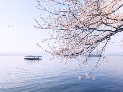 春天應該怎么補身體？春天補身體這些食物可以多吃