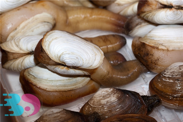 春天適合吃哪些海鮮？春天吃海鮮要注意什么？