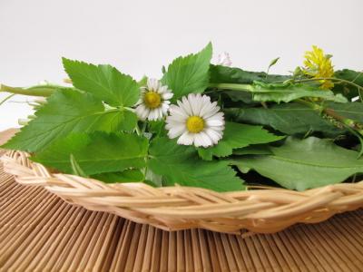 春季最值得吃的幾種野菜，錯(cuò)過就只能再等一年