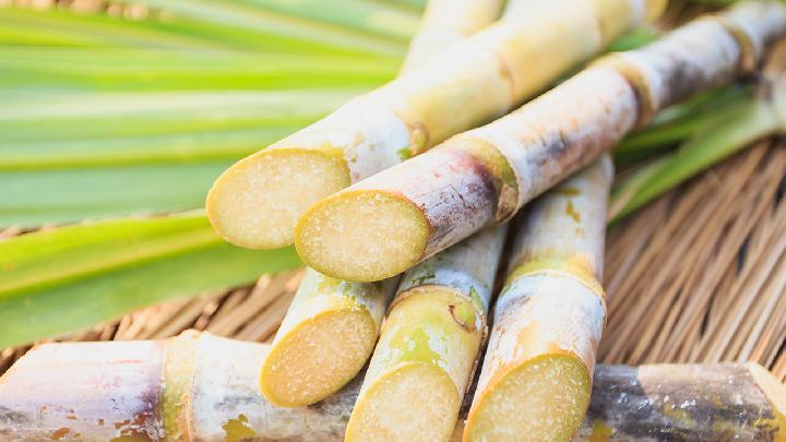 春季犯困怎么提 四個飲食方法幫你趕走春困