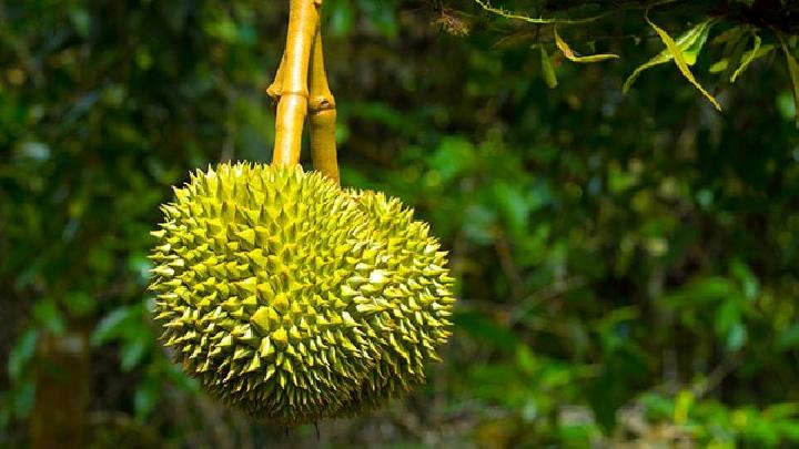 春困吃什么食物好 5種食物幫你對(duì)抗春困-易網(wǎng)健康養(yǎng)生網(wǎng) 春困吃什么食物好 5種食物幫你對(duì)抗春困