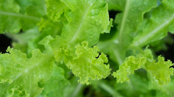 春困精神萎靡不振怎么辦 四種時令蔬菜幫你趕走春困