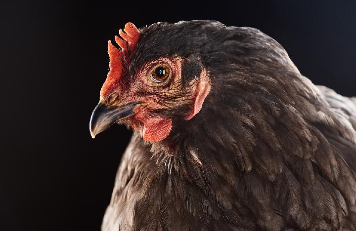 春季糖尿病人適合什么樣的飲食和茶品 春季糖尿病人飲食小攻略