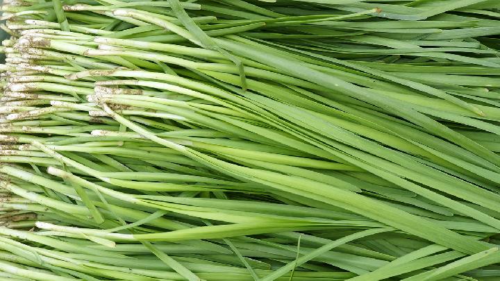 春季進補吃什么菜好 春季飲食平補清補6菜譜