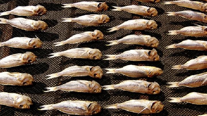 上班族春困春乏怎么辦 春日食譜幫你緩解春困