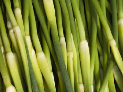 您是不是在為長黃褐斑而煩惱 推薦健康菜譜消滅黃褐斑