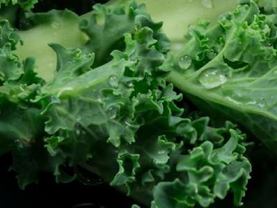 冬天養胃吃什么好 推薦三款適合冬季養胃的食療方