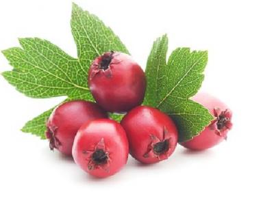 冬季進補不宜過于油膩 冬季進補注意六大誤區