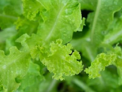 小心有些癥狀不是春困 頻繁打哈欠當心中風來襲