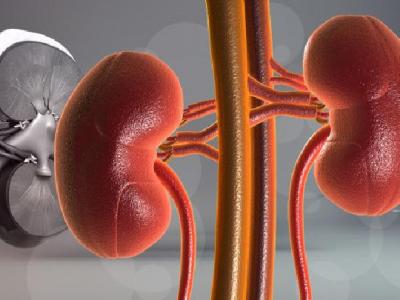 春季養生需注意哪些事項 春季養生不能只養肝不補腎