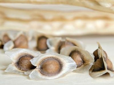 男人冬季上火應該吃哪些食物降火 男人上火應多吃這5種食物來降火