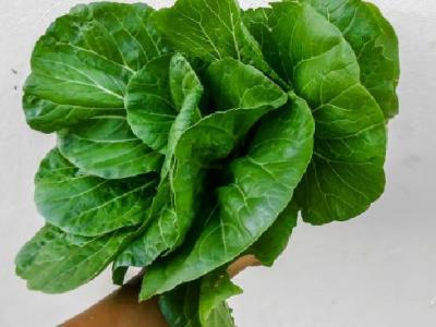 夏天體內火旺怎么辦 7種食物輕松防上火應多吃