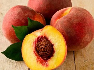 春困秋乏夏打盹無一日清醒 午餐這樣吃下午不犯困