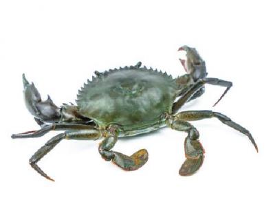 上火的飲食療法有哪些 9種有效降火食物推薦