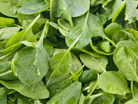 秋季適宜養(yǎng)生蔬菜 這個顏色的菜要多吃