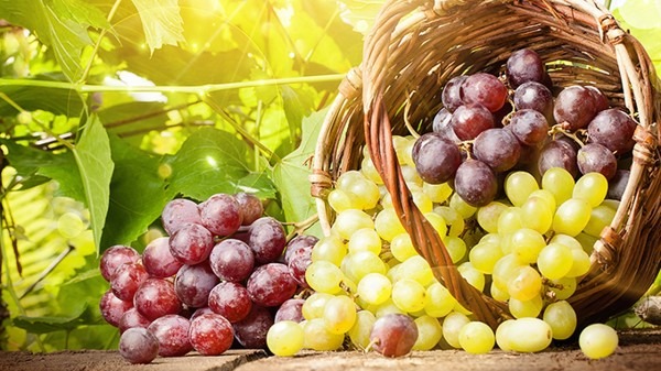 夏天吃水果的禁忌 夏天吃水果有哪些禁忌-易網健康<a href=http://www.gyfww.com/jkys/ target=_blank class=infotextkey>養生</a>網 夏天吃水果的禁忌 夏天吃水果有哪些禁忌