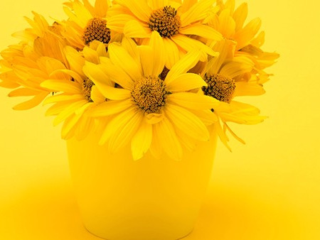 秋冬<a href=http://www.gyfww.com/jkys/ target=_blank class=infotextkey><a href=http://www.gyfww.com/jkys/ target=_blank class=infotextkey>養(yǎng)生小常識</a></a>,這里面群都概括了,你都做了哪些-易網(wǎng)<a href=http://www.gyfww.com/ target=_blank class=infotextkey>健康養(yǎng)生</a>網(wǎng) 秋冬養(yǎng)生小常識,這里面群都概括了,你都做了哪些