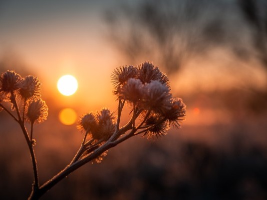 秋分秋意濃 適當(dāng)運(yùn)動(dòng)解心寬