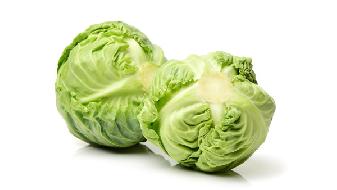 冬季吃什么豐胸?雞肉卷心菜豆制品-易網健康<a href=http://www.gyfww.com/jkys/ target=_blank class=infotextkey>養生</a>網 冬季吃什么豐胸?雞肉卷心菜豆制品