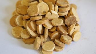 冬季吃山藥好嗎?5大功效防病治病-易網健康養(yǎng)生網 冬季吃山藥好嗎?5大功效防病治病