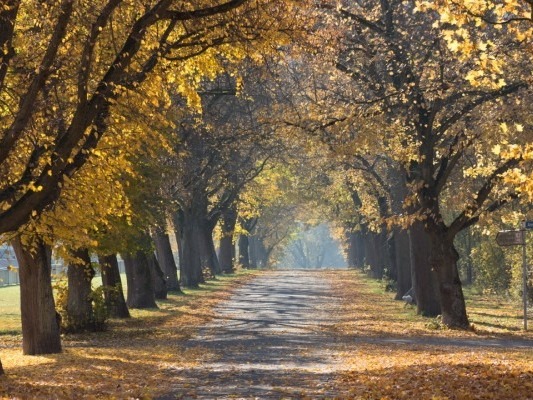 早睡早起，深秋養生指南來了