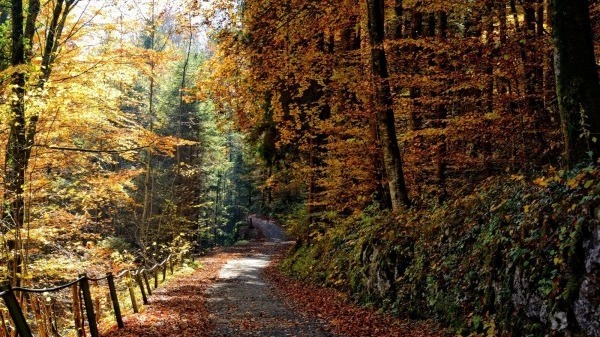 深秋養生，你該注意什么？