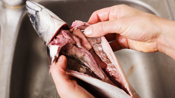 冬季多吃魚，吃魚的4好處