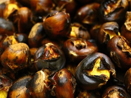 一年補(bǔ)透透，不如補(bǔ)霜降？