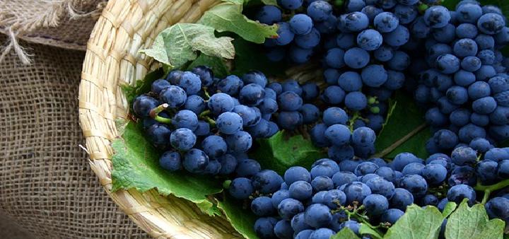 冬季大雪吃什么養生大雪養生吃什么水果好