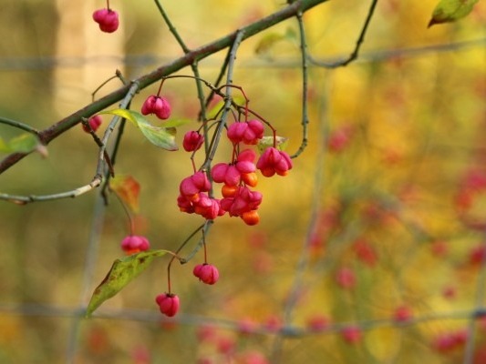 重陽節養生全攻略 中老年人一定要看