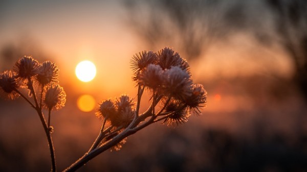 立秋后防肺燥 先別急著貼秋膘-易網(wǎng)健康<a href=http://www.gyfww.com/jkys/ target=_blank class=infotextkey>養(yǎng)生</a>網(wǎng) 立秋后防肺燥 先別急著貼秋膘