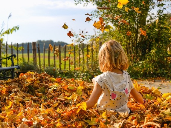 三秋養生 各有側重-易網健康養生網 三秋養生 各有側重