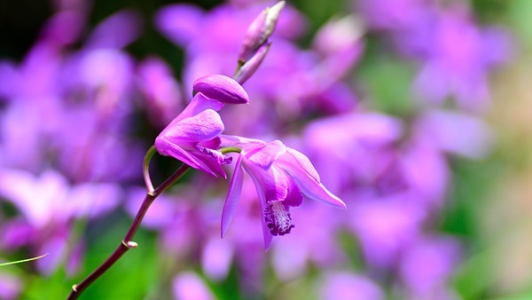 今日白露 秋天要來了-易網<a href=http://www.gyfww.com/ target=_blank class=infotextkey>健康養生</a>網 今日白露 秋天要來了