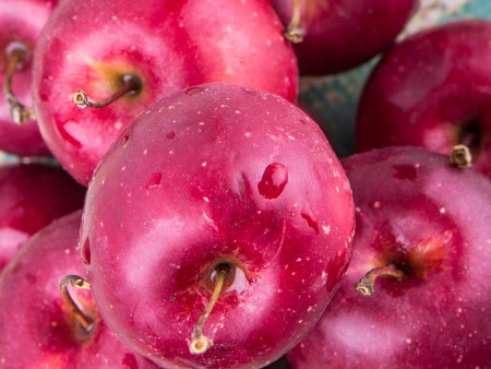 九月養(yǎng)生吃什么? 5種食物來養(yǎng)生-易網(wǎng)健康養(yǎng)生網(wǎng) 九月養(yǎng)生吃什么? 5種食物來養(yǎng)生