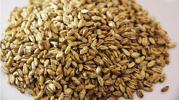 入伏吃什么養(yǎng)生 入伏吃什么好