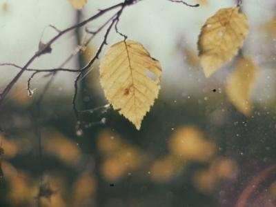 深秋養(yǎng)生，你該注意什么？