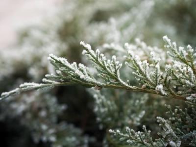 小雪節氣：健康養生5常識