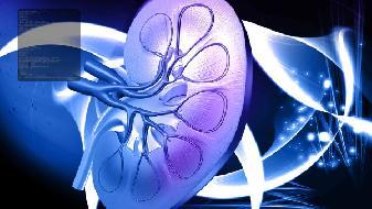 養腎須知：冬季養生重在養腎